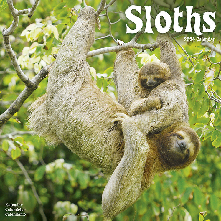 Calendar 2027 Sloths
