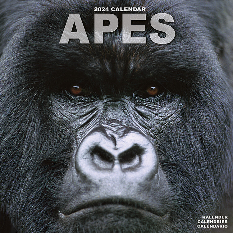 Календар 2027 Apes