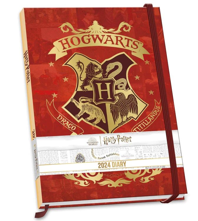 Diary Harry Potter