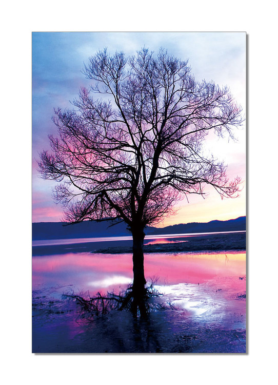 Mодерна картина Pink Tree