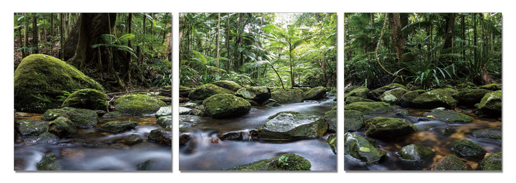 Jungle Stream Mounted Art Print