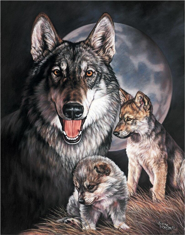 Metallikyltti GRAHAM - Wolf Experience