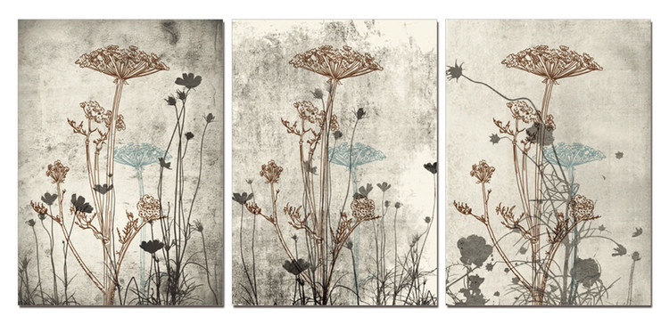 Τοποθετημένη εκτύπωση έργου τέχνης Modern Design - Wild Flowers