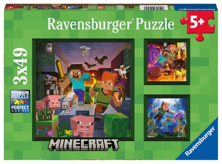 Puzzle Minecraft Biomes