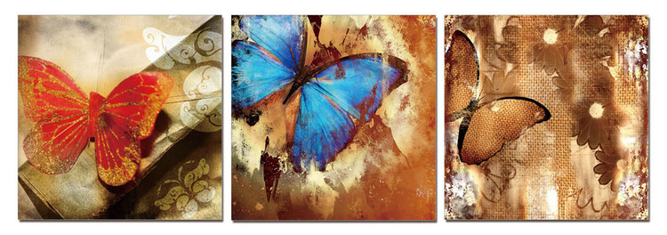 Τοποθετημένη εκτύπωση έργου τέχνης Butterfly - Art of Nature