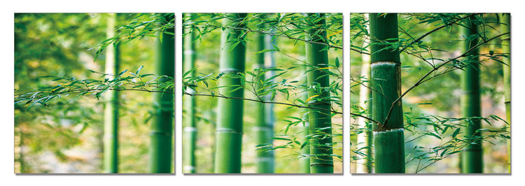 Bamboo Forest - Leaves Slika