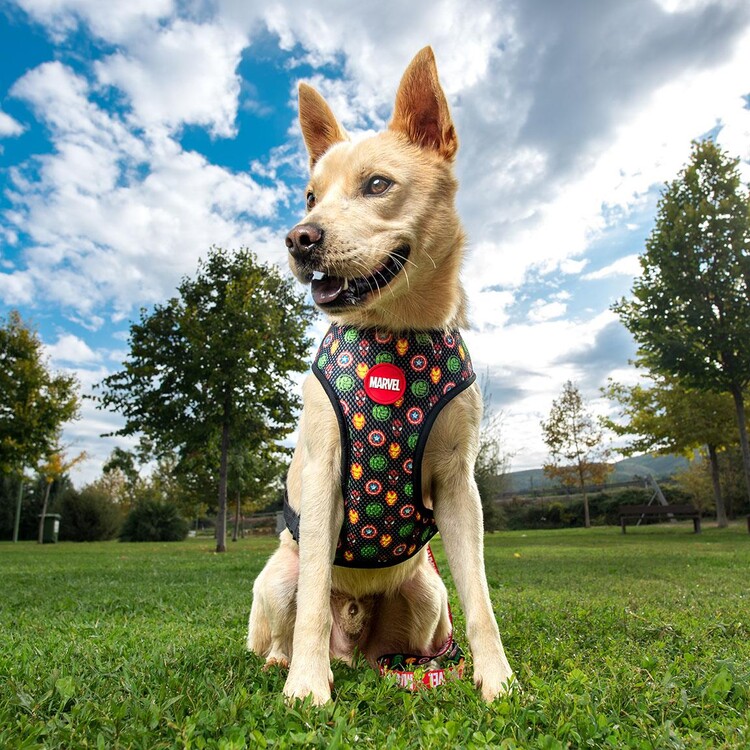 Marvel shops pet harness