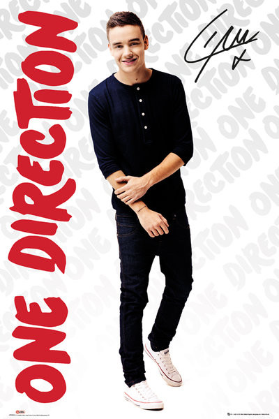 Плакат One Direction - Liam logos