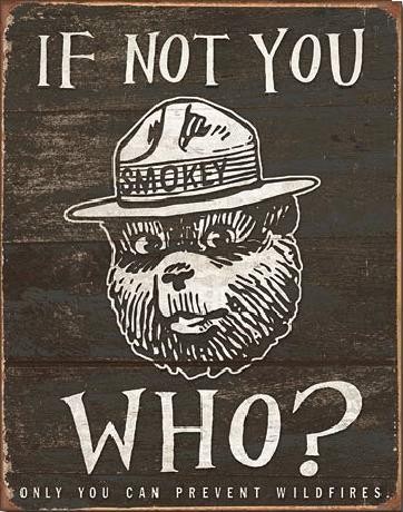 Μεταλλική πινακίδα SMOKEY BEAR - If Not You