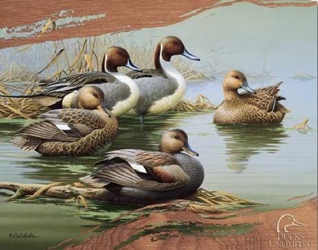 Μεταλλική πινακίδα DUCKS UNLIMITED - Morning
