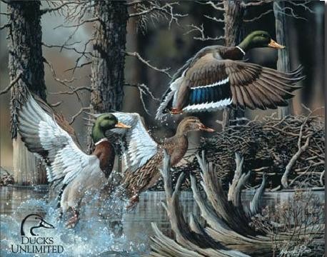 Μεταλλική πινακίδα DU - beaver pond