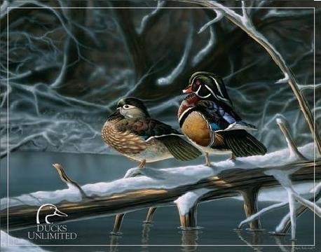 Μεταλλική πινακίδα DUCK UNLIMITED - interlude