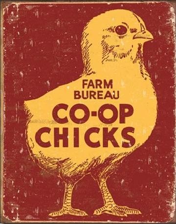 Metallikyltti CO-OP CHICKS