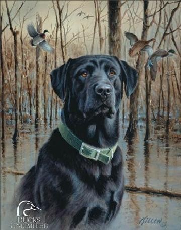 Μεταλλική πινακίδα DU - great retrievers