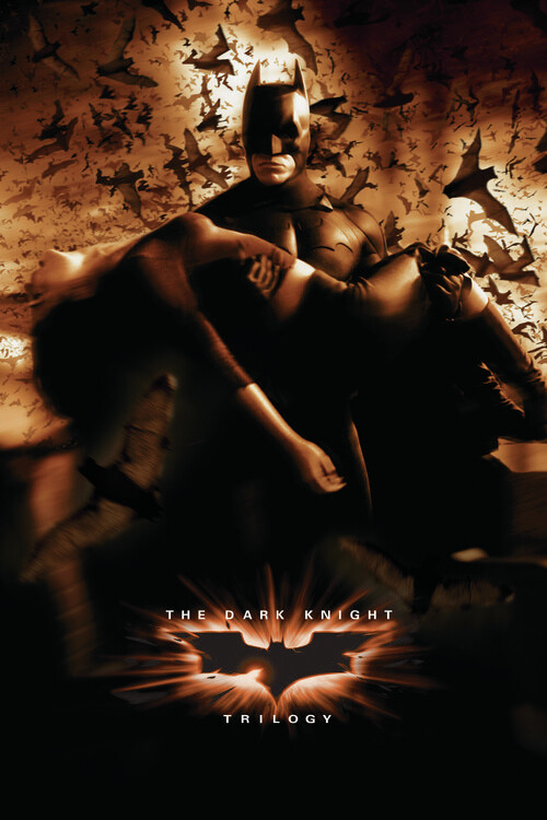 Плакат The Dark Knight Trilogy - Hero