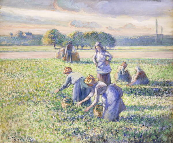 Плакат The Harvest of Peas, 1887