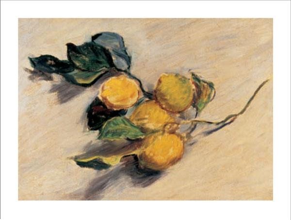 Umetniški tisk Branch from a Lemon Tree
