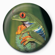 Badge FROG