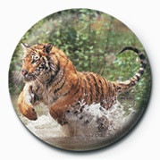 Badge TIGER