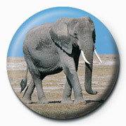 Badge ELEPHANT