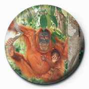Badge ORANGUTAN