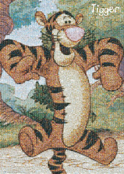 Poster TIGER - photomosaic