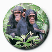 Crachá CHIMPS