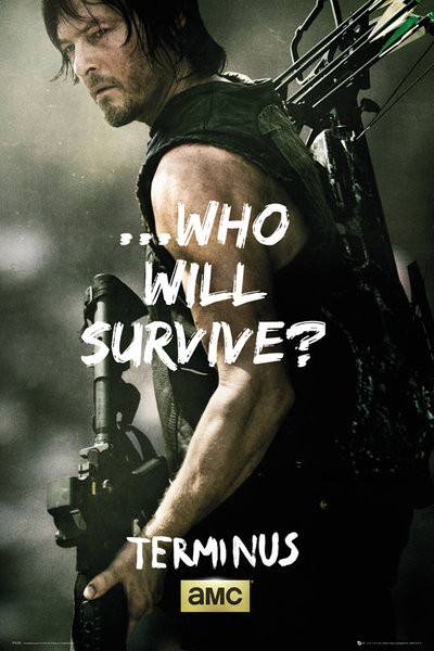 Плакат The Walking Dead - Daryl Survive