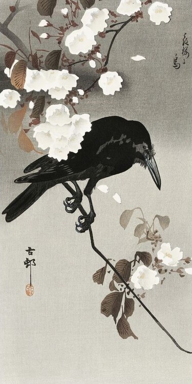 Taidejuliste Crow And Cherry Blossom