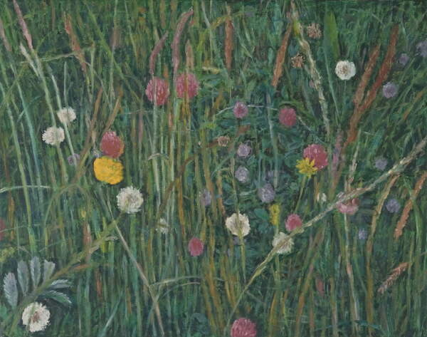 Принти на полотні Plants of the Machair, 2008