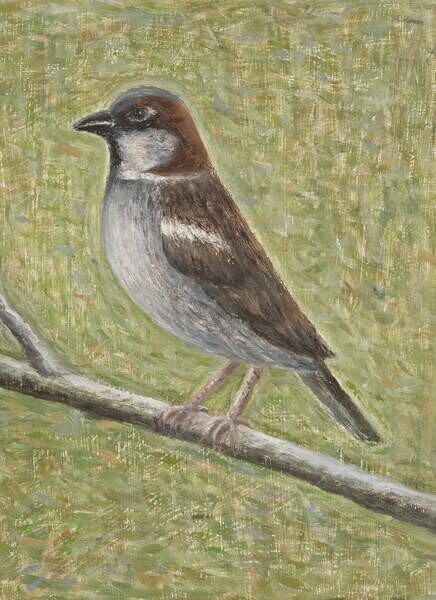 Плакат House Sparrow, 2008