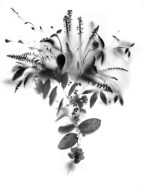 Плакат Natural Veil IV, 2019