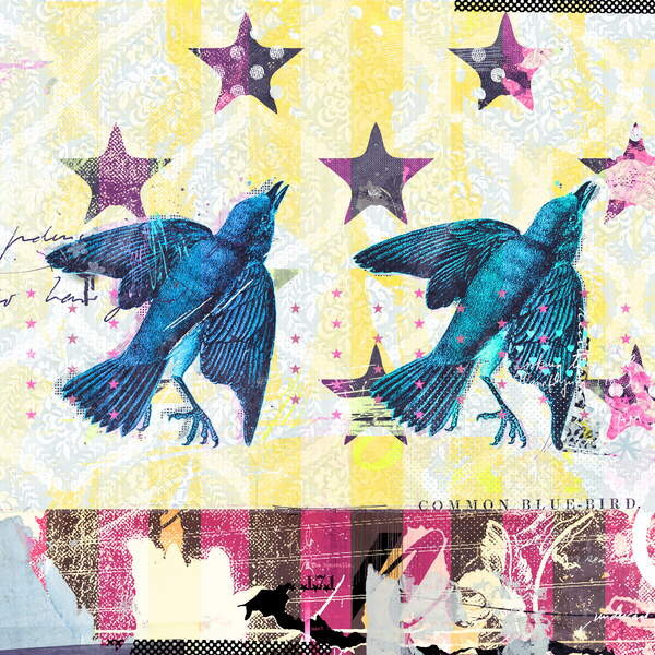 Плакат Birds in Serie, 2015