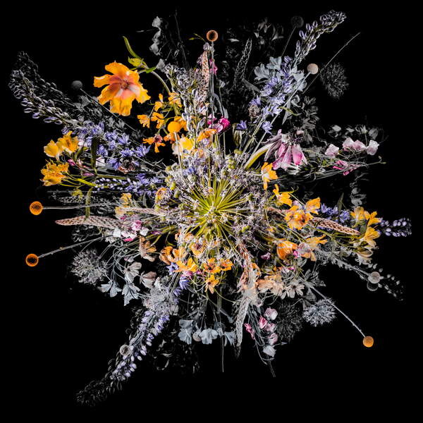 Плакат Bouquet VII, 2018