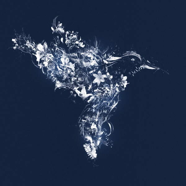 Плакат Floralbird, 2019