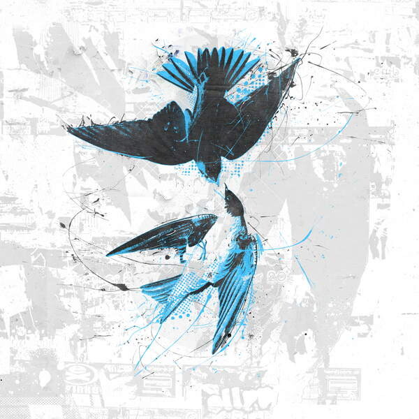 Плакат Spiraling Birds II, 2017