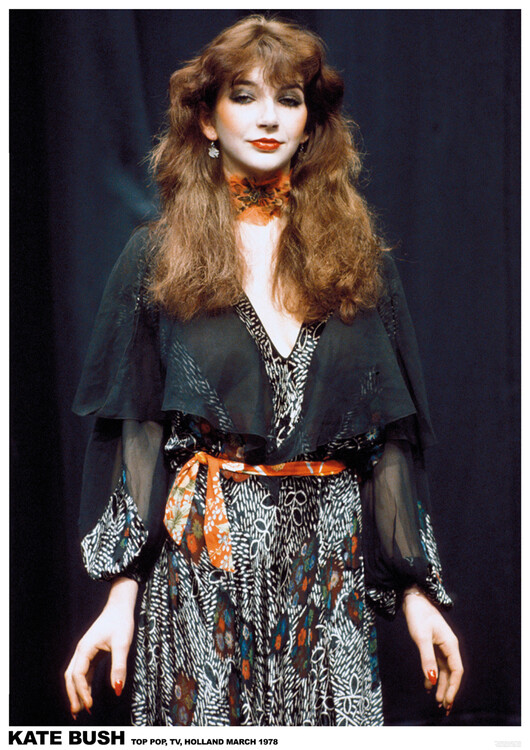 Плакат Kate Bush - Top Pop 1978