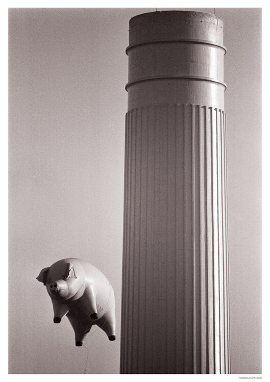 Плакат Pink Floyd - Animals – Inflatable pig 1976
