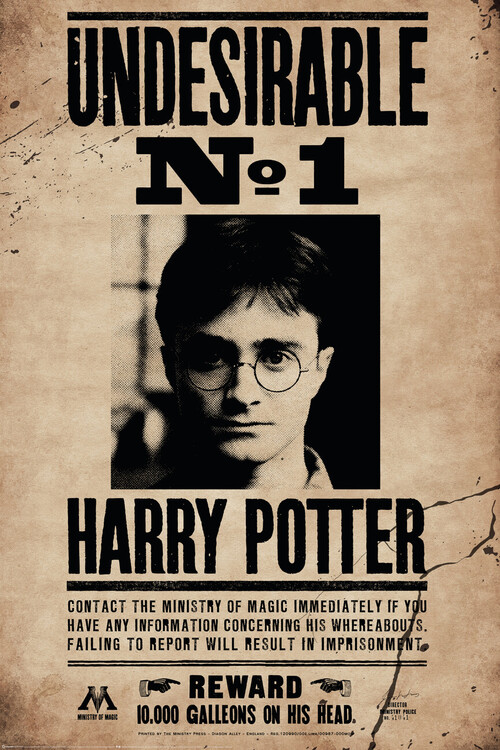 Плакат Harry Potter - Undersirable No.1