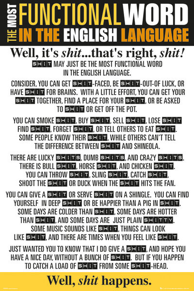 Poster Functional Word - Shit