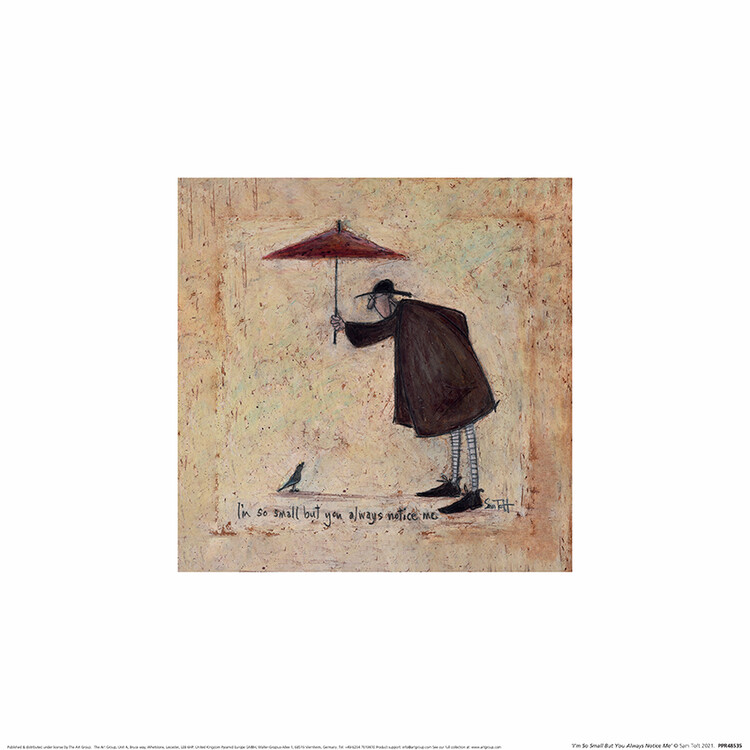 Sam Toft - I'M So Small But You Always Notice Me Картина