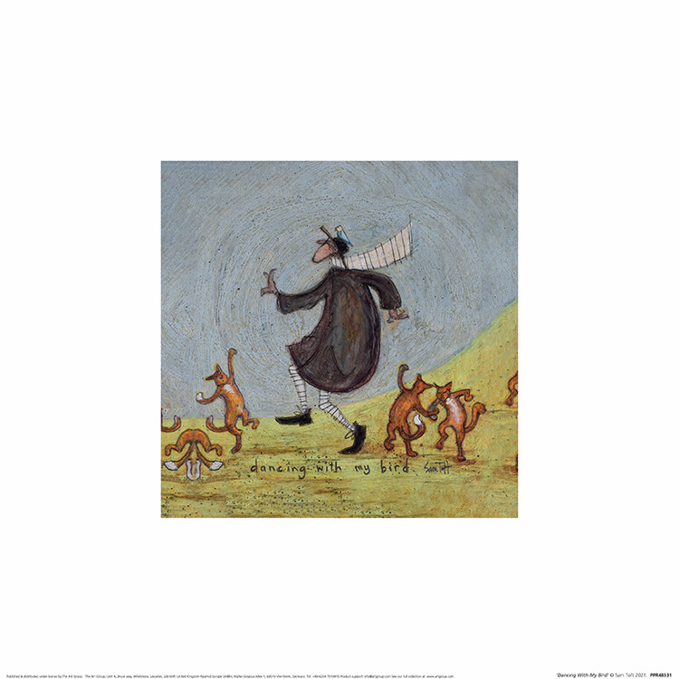 Sam Toft - Dancing With My Bird Картина