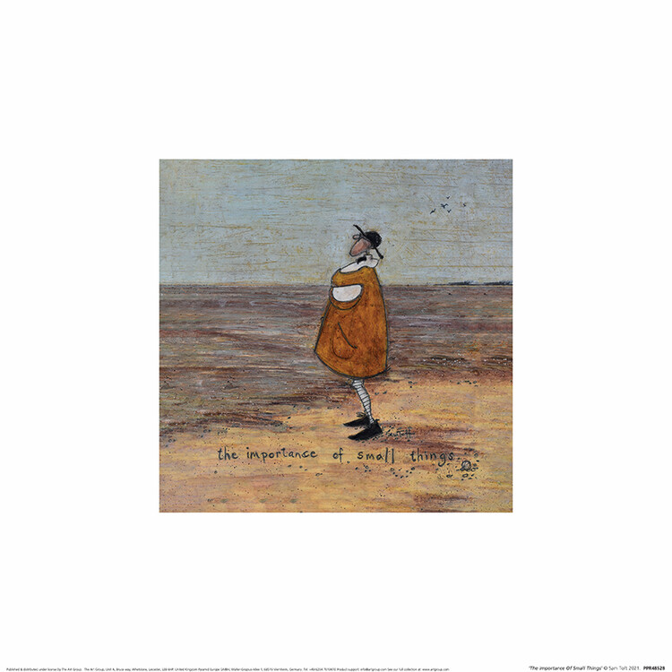Sam Toft - The Importance Of Small Things Картина
