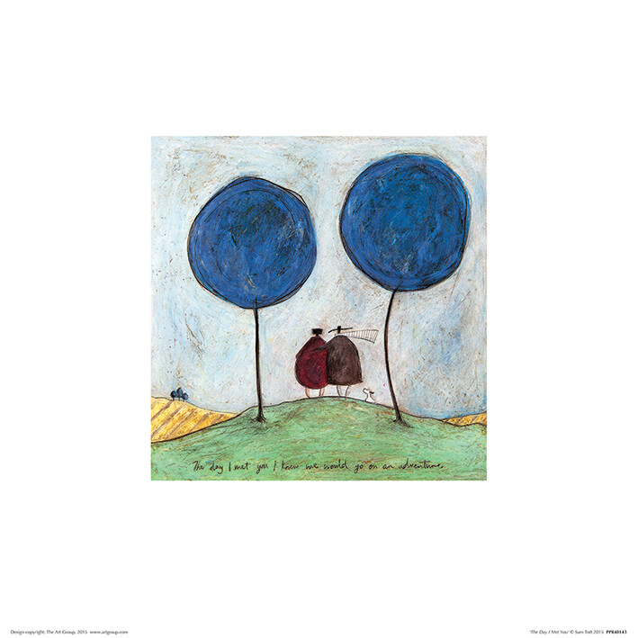 Taidejuliste Sam Toft - The Day I Met You