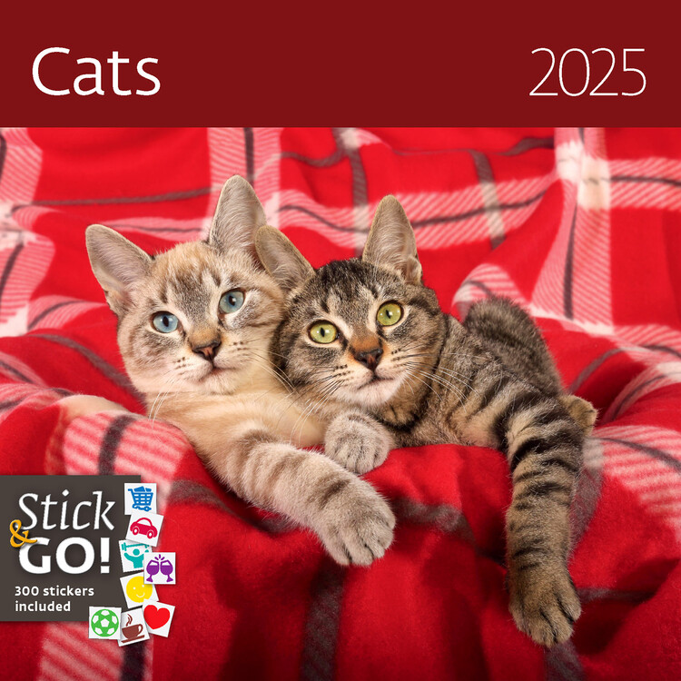 Календар 2027 Cats