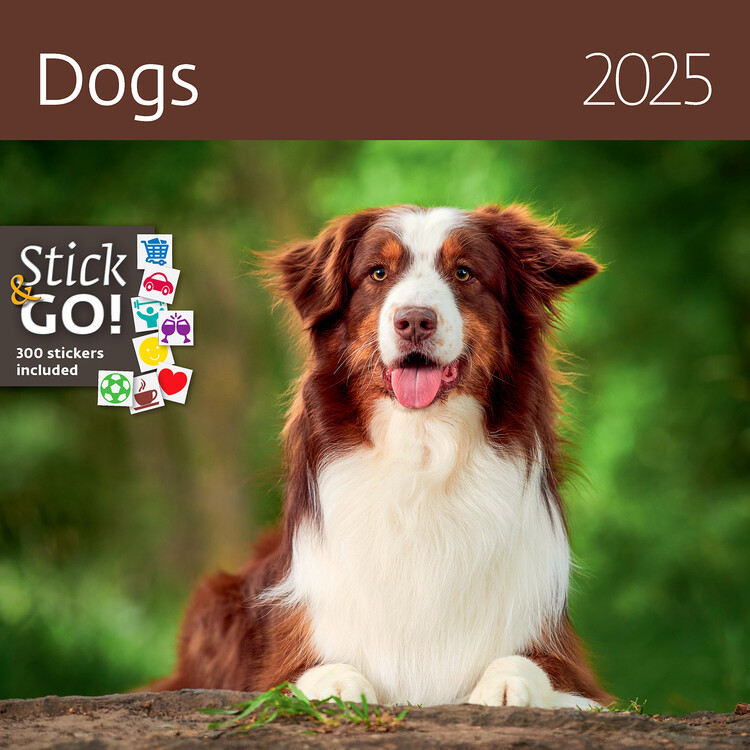 Calendar 2027 Dogs