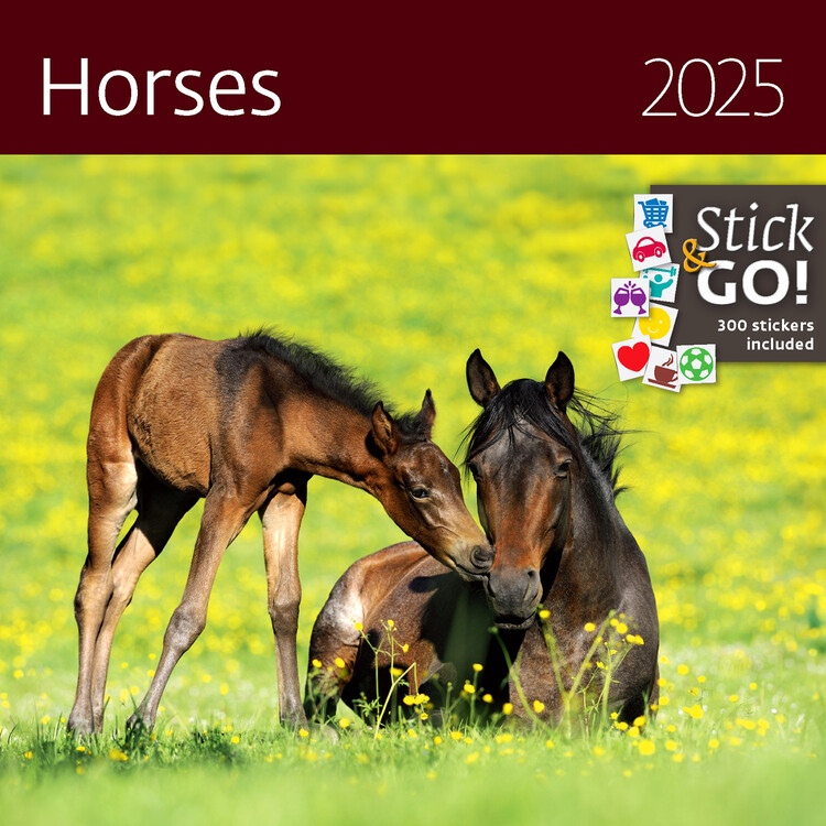 Календар 2027 Horses