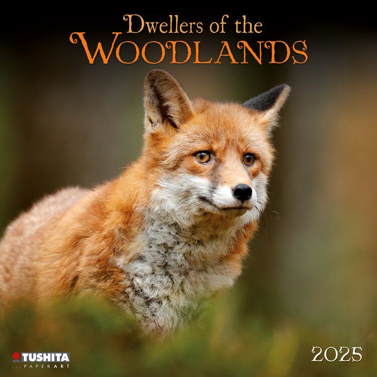 Календар 2027 Dwellers of the Woodlands