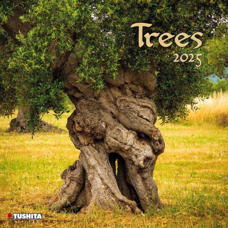 Календар 2027 Trees