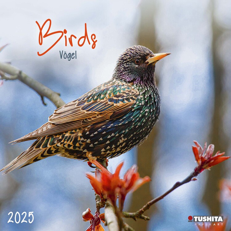 Calendar 2025 Birds